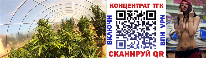 ТГК Wax Краснокаменск