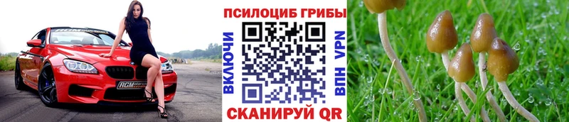 купить Краснокаменск Псилоцибиновые грибы MAGIC MUSHROOMS